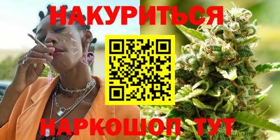 гидра Гатчина