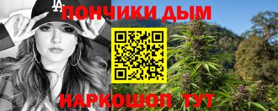 гидра Гатчина