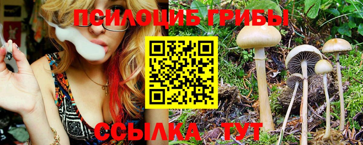 Псилоцибиновые грибы MAGIC MUSHROOMS  Псилоцибиновые грибы мухоморы  Лениногорск  Вход с VPN 
